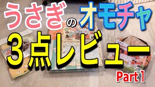 【百聞は一見にしかず】うさぎのおもちゃ3点レビュー！ うさぎさん達に試してもらった Part1「うさぎのつなぎぴょんネル」