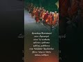 ตื่นตาตื่นใจ พระธุดงค์500รูป #พระอาจารย์จรัน_อนงฺคโณ #ธรรมะ #พระธุดงค์ #