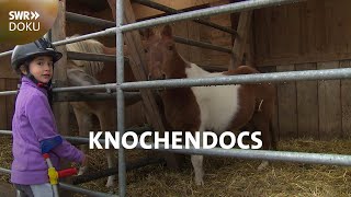 Reiten Mit Einem Bein Die Knochendocs Swr Doku