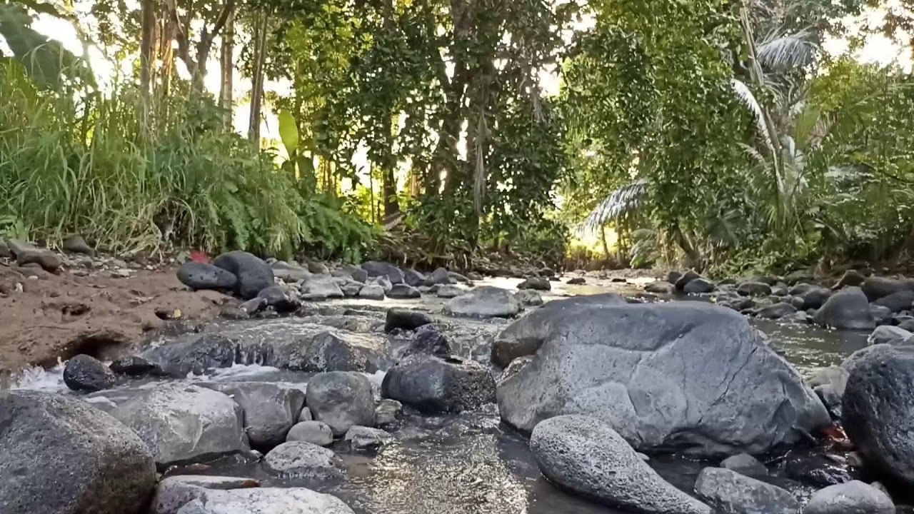 Dream Away in Nature – River Flow Ambience