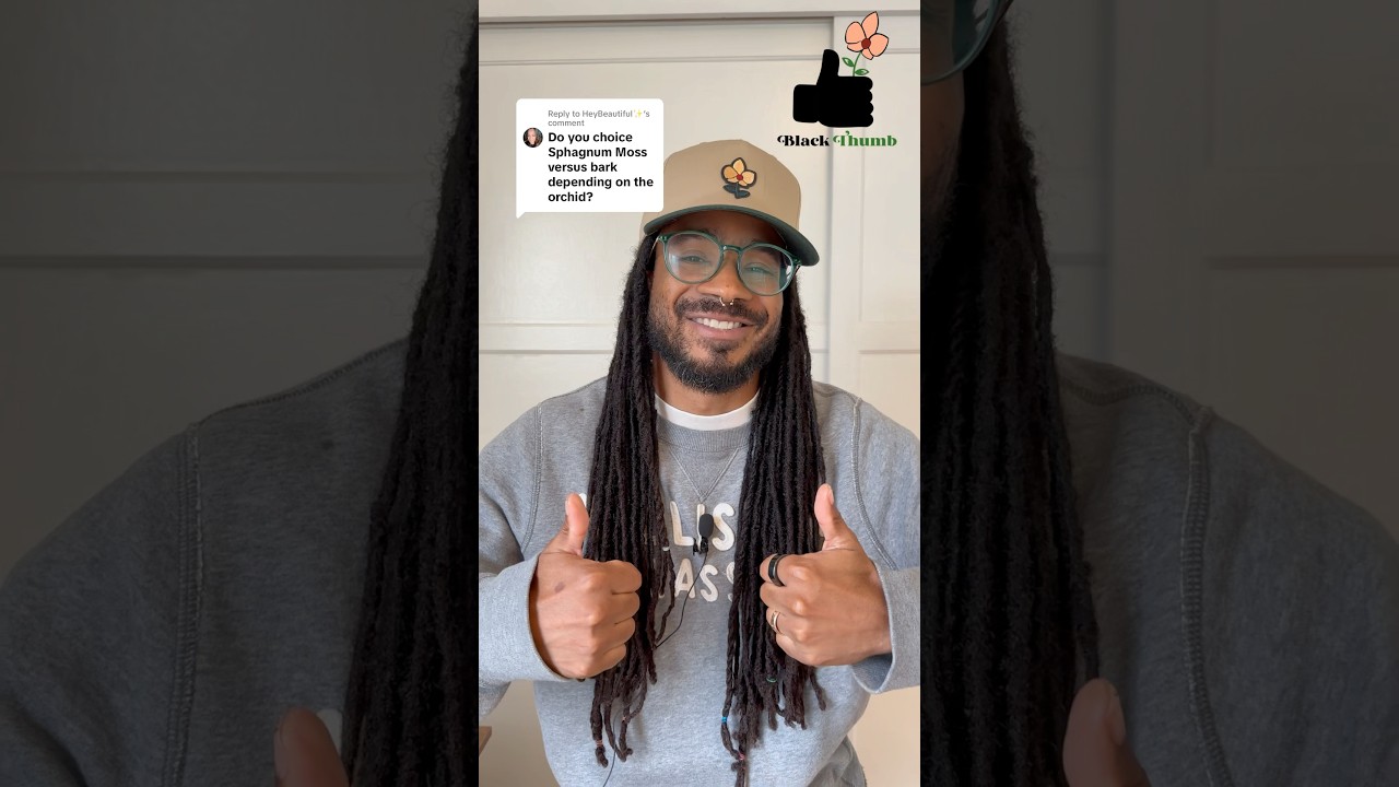 Orchid Repotting in Bark vs. Sphagnum Moss 