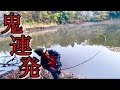 【冬バス釣り】オールシーズン釣れるルアーを多用してみたら、入れ食い‼︎