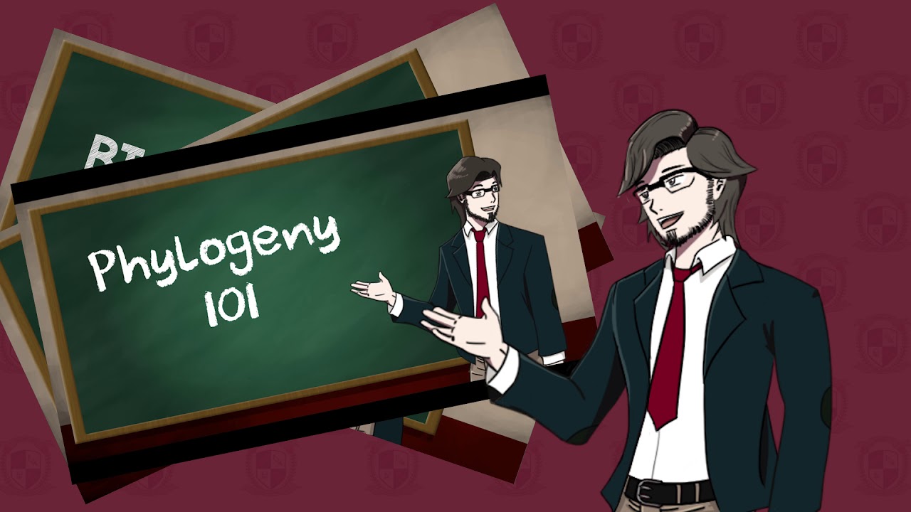 LVL UP UNIVERSITY: A Preview