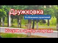 Дружковка.Косули в самом центре города!Ул.Машиностроителей