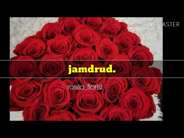 Jamrud-mawar merah lyric class=