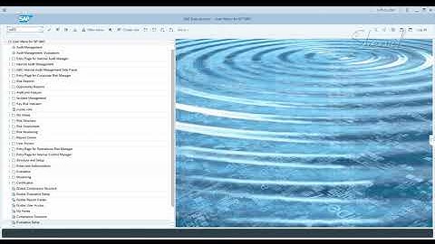 7. SAP GRC - EAM - Users and Roles - Plug In System