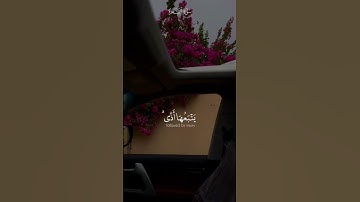 هدوء و سكينة قران كريم #قرآن_كريم #قراء_القرآن #قران_كريم #تلاوة_خاشعة #عبدالرحمن_مسعد #حالات_واتس