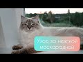 💯Уход за невской маскарадной:)