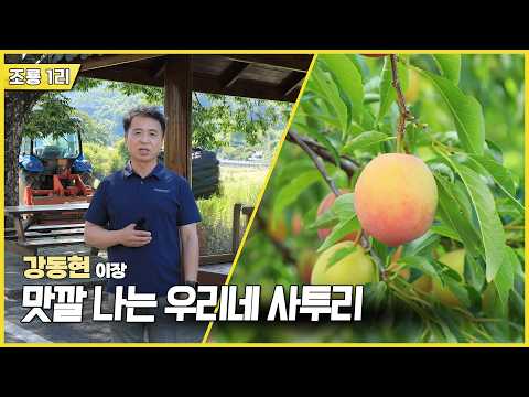 新우문현답 | 489회 사투리 열전 | 경북 김천시 대덕면 조룡 1리 (KBS 2026.07.22.수 방송)