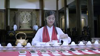 福鼎白茶冲泡法—素颜知己 The  brewing method of Fuding white tea- Natural beauty