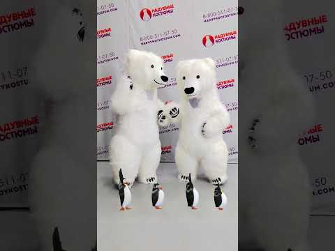 Белые мишки танцуют #тренд с пингвинами Polar bears dance with penguins of madagascar #shorts #dance