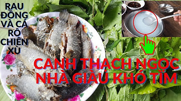 Nhịp Sống | Cá Rô Đồng Chiên Xù Và Bửa Cơm Quê Với Nguyên Liệu Quanh Nhà