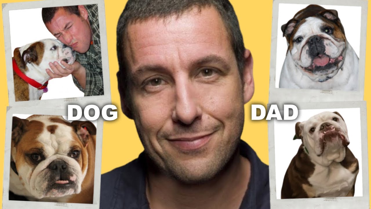 Why You’ll Adore Adam Sandler’s Bulldogs!