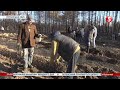 Ліс на згарищі: волонтери висадили молоді саджанці на місці пожежі біля Сєвєродонецька