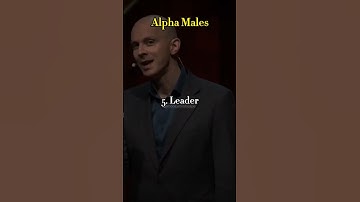 Sigma Males VS Alpha Males💪💪 (check my description) #shorts  #sigmamale  #alpha