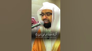 (أَيَحۡسَبُ ٱلۡإِنسَٰنُ أَن يُتۡرَكَ سُدًى) #تلاوة_خاشعة #ناصر_القطامي