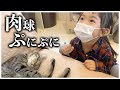猫カフェ行ったら肉球の虜になった娘。
