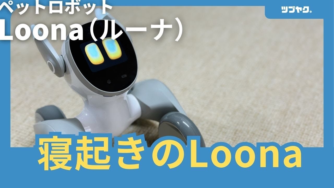 我が家に家族が増えました！一緒に遊べるペットロボット「Loona