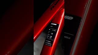 From Novice to Pro How I Mastered Downhill Racing with Norco Fluid in 2024!
