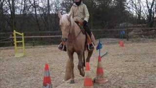 concours du 13/01/08 au ranch de st prix
