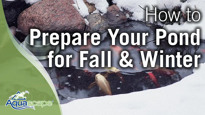 Aquascape's How To Winterize Your Pond