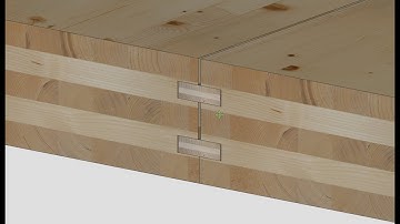 cadwork 3d V29 Fremdfeder in Platten