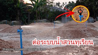 วางระบบน้ำสวนทุเรียน / Watering system my Durian farm