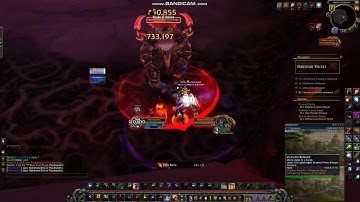 Freakz wow - DHT last boss fear bug