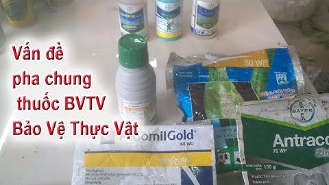 Pha chung thuốc trừ bệnh với phân bón lá, thuốc trừ sâu được không ? Pha chung loại nào thì đúng ?