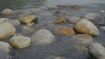 Creative Destruction Lab - Pitch Video