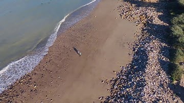 Parrot Bebop 2: Follow Me & Magic Dronies with FreeFlight Pro