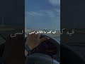 شوف نصيبك فين وكمل الحياة واسعة وطويلة فن اغنية موسيقى