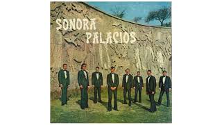 Video thumbnail of "Sonora Palacios - Volveré a la Noche"