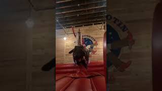 Kenzie Reeves Vs Bull