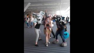 Tekko 2016 Wilykits Adventure