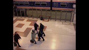 Copy of Var B Clustering Social Force Model1