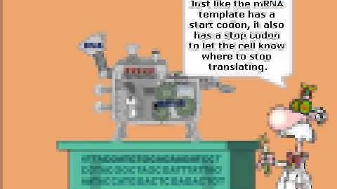 CS 10 Final Project: Marissa Chou and Brian Tian