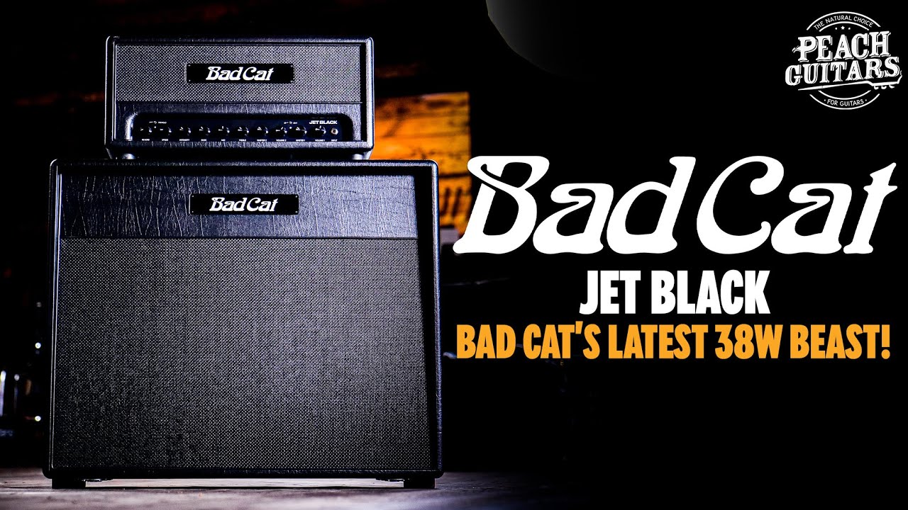 Bad cat Jet Black Head – Matt's Guitars