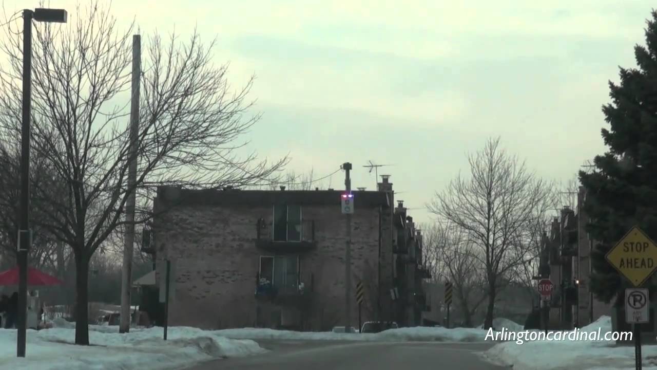 Gang Fight, Shots Fired in Prospect Heights Near Burning Bush Drive and Piper Lane