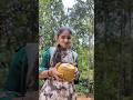 കരിക്ക് പറിക്കാം😂😂 #shortsfeed #youtubeshorts