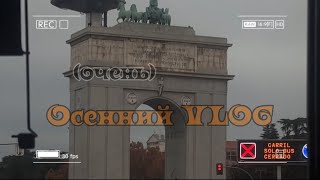 поздний осенний VLOG 🍁