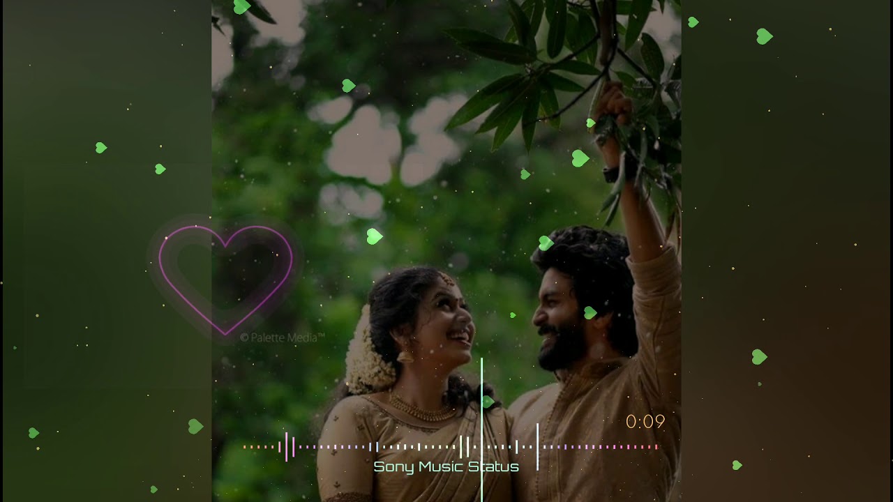 Abhal Firun Yeil Dhag Datun Yeil  Love Whatsapp Status By Sony Music Status