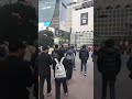 Shibuya Crossing (12-11-2019)