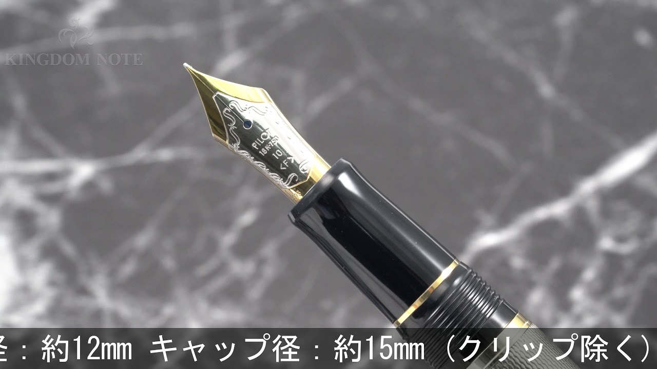 PILOT パイロット 万年筆 カスタム745 スターリングシルバー バーリィ