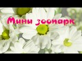 Мини зоопарк