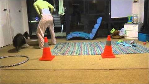 Final Training Assessment 10 part chainVF