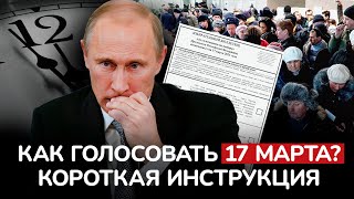 Как проголосовать против Путина в Волгограде?