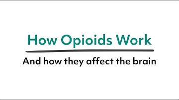 How opioids work, and how they affect the brain