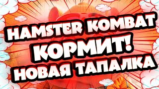 Hamster Kombat Обзор Как Заработать?