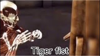 Tiger fist is the most deadly Kungfu